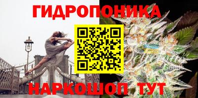 спиды Краснодар