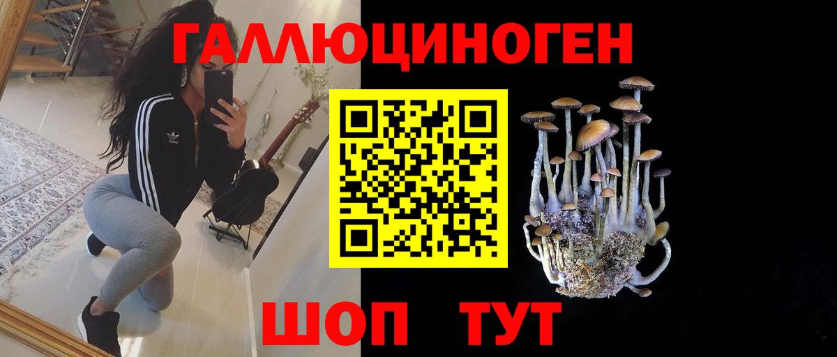что такое   Псилоцибиновые грибы Psilocybine cubensis  Галлюциногенные грибы GOLDEN TEACHER  Вход с VPN  Красный Сулин 